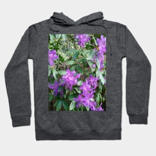 Purple Flowers Nature Photography Pacific Northwest Hoodie